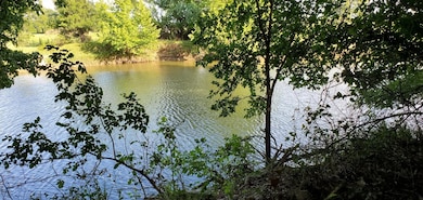 000 County Road 4757, Boyd, TX 76023 - photo 3