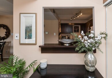 700 Putnam Blvd unit 1B, Wallingford, PA 19086 - photo 4