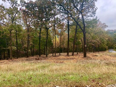 Lot 3a Whippoorwill Hollow Trail, Kimberling City, MO 65686 - photo 4