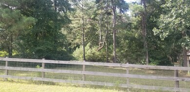 26047 Rolling Forest Ln, Hockley, TX 77447 - photo 4