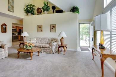 Vaulted great room