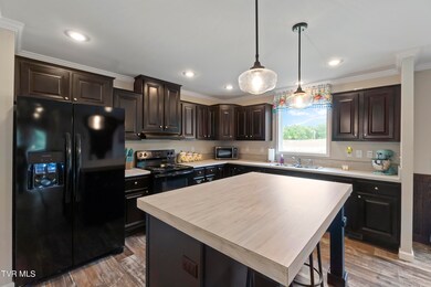 70 Colyer Rd, Greeneville, TN 37743 - photo 4