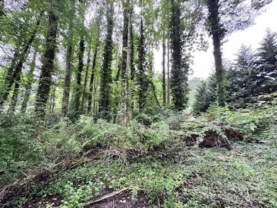 0 Glengary Dr unit 79, Flat Rock, NC 28731 - photo 4