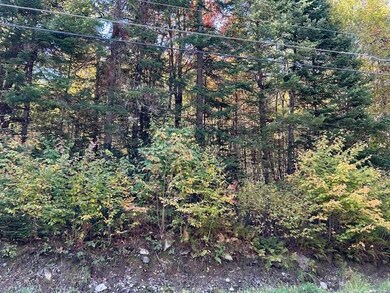 Lot 3 Spooner Rd, Pittsburg, NH 03592 - photo 7