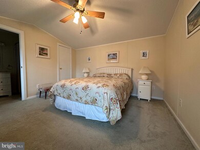 37262 Sugar Hill Way unit 41410, Selbyville, DE 19975 - photo 7