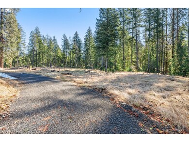 0 Alma Dr unit 155780752, McKenzie Bridge, OR 97413 - photo 2
