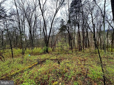 11135 S Fork Rd, Moorefield, WV - photo 2