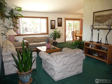 Large Living Room