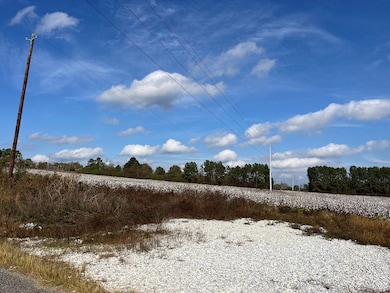 TBD US Highway 431 S, Eufaula, AL 36027 - photo 5