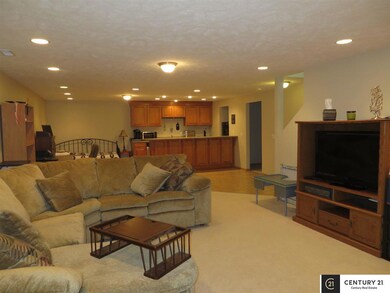 2404 S Mineral Dr, Papillion, NE 68046 - photo 3