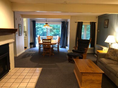 46 Packard's Rd unit 101- Week 01, Waterville Valley, NH 03215 - photo 7