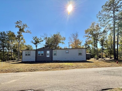 449 Eastwood Loop, Hemphill, TX 75948 - photo 5