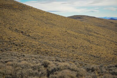 20211121-DSC01279