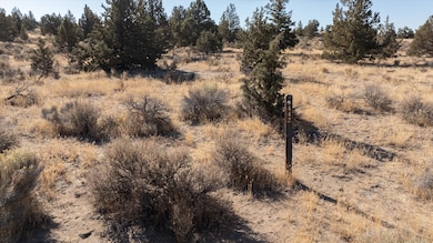 0 SW Chaparral Dr unit Homesite 442, Powell Butte, OR 97753 - photo 3