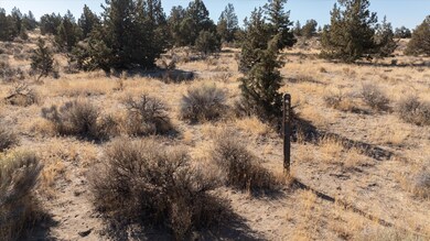 03-241001_JILLROSELL-17