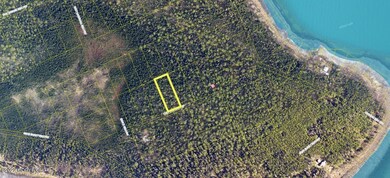 L33 B5 Caribou Island 1