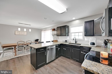 36809 Red Berry Rd, Delmar, DE 19940 - photo 5