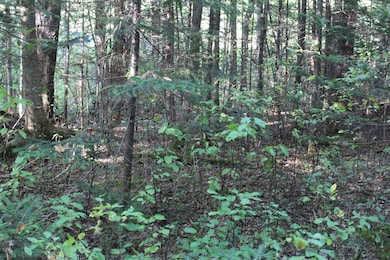 00 Miles Pond Rd, Concord, VT 05824 - photo 6