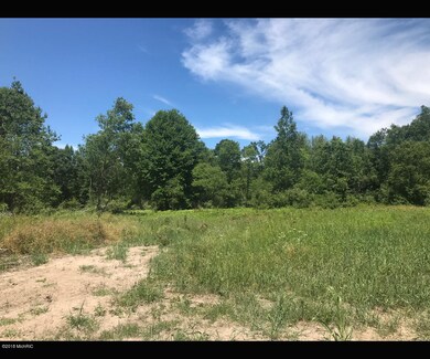 0 N Centerline Rd unit 18032500, White Cloud, MI 49349 - photo 4