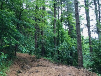 East Branch Rd
