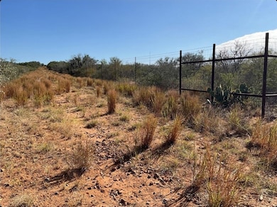 5150 Fm 2779, Pearsall, TX 78061 - photo 2