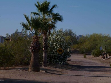 Front of the Lot - Inviting Palms
