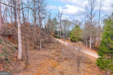 510 Gumlog Grove Rd, Lavonia, GA 30553 - photo 5