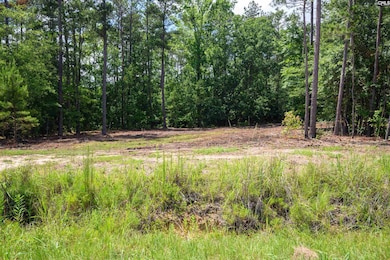 227 State Road S-32-145 unit LOT 3, Lexington, SC 29072 - photo 5