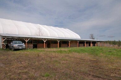10035 Center Rd, Quilcene, WA 98376 - photo 4