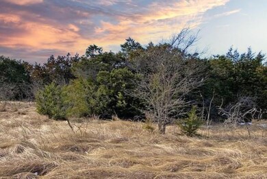 44051 Fringewood Dr, Whitney, TX 76692 - photo 2