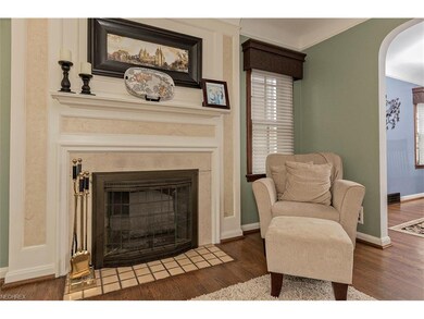 A striking fireplace with much surrounding detail