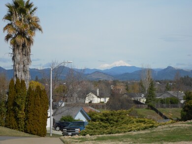 View of Mt. Shasta