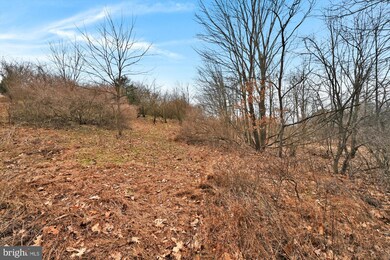 0 Beech Hollow Rd unit PASK2009194, Schuylkill County, PA 17960 - photo 4