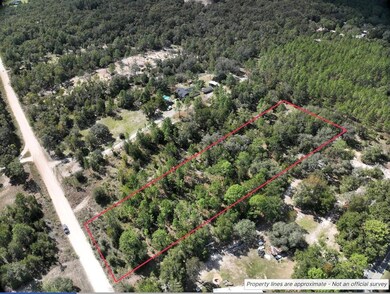 0 NE 90th Ave unit MFRA4672326, Bronson, FL 32621 - photo 5