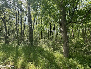 0001 Old Highway 471, Brandon, MS 39042 - photo 3