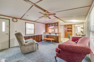 2364 Highway 81 S, Jonesborough, TN 37659 - photo 6