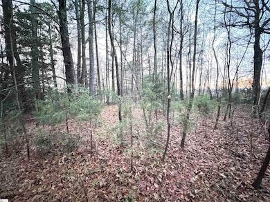 111 Hortizone Dr, Woodruff, SC 29388 - photo 5