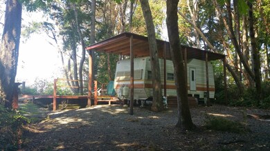 9910 Steffensen Rd, Anderson Island, WA 98303 - photo 6