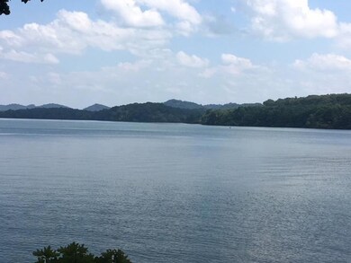 216 Dudala Way, Loudon, TN 37774 - photo 3