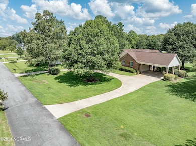 aerial view 16