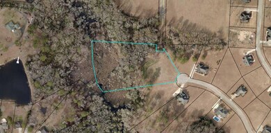 3.34 Ac Brookshaven Subdivision, Claxton, GA 30417 - photo 2