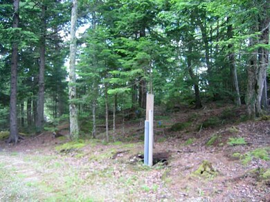 Land/Lot.