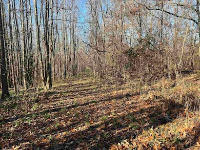 Fence line cleaned around the entire property