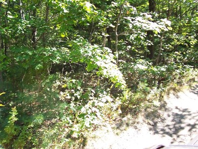 30 Brewer St, Worcester, MA 01609 - photo 5