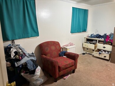 Living area featuring ornamental molding and carpet flooring