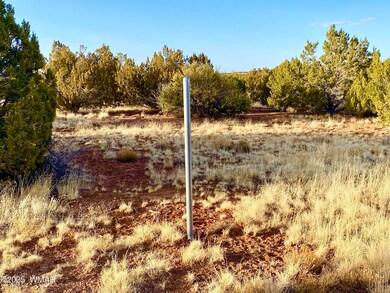1965 Tee St, Show Low, AZ 85901 - photo 7
