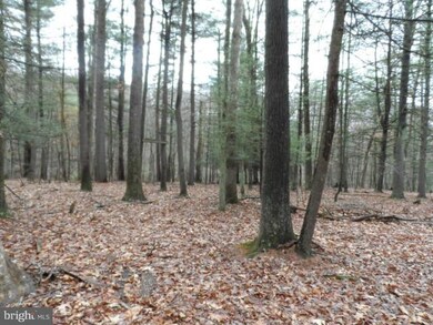 29 Silverstone Ln, Berkeley Springs, WV 25411 - photo 6