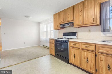 31 E Locust Ln unit 29, New Oxford, PA 17350 - photo 7