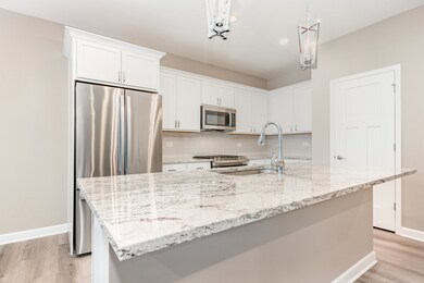 253 Masters Dr, Addison, IL 60101 - photo 5