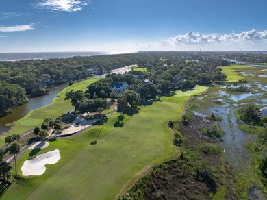 29 Marsh Island Ln, Isle of Palms, SC 29451 - photo 4